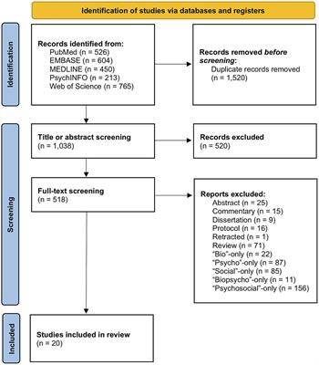 Evidence for the biopsychosocial model of suicide: a review of whole person modeling studies using machine learning